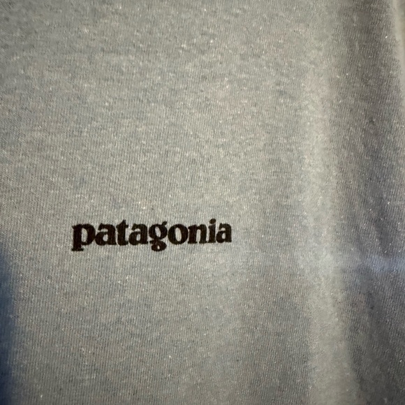 Patagonia Men's Slate Blue Short Sleeve Tee Size Large - Picture 2 of 4